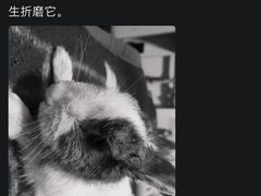 -宠物兔专门店(天丰利市场店)