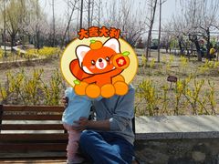 -青龙湖公园