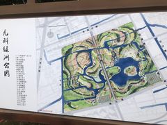 -九科绿洲