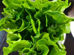 -拾下卜卜贝•海鲜火锅