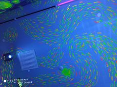 -天津梵高星空艺术馆(天河城旗舰店)