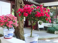 -汇龙潭