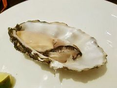 生吃生蚝-Social 秀西餐厅-长沙瑞吉酒店(运达店)