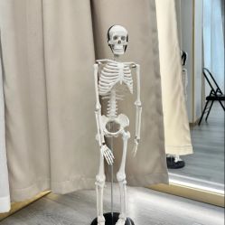 -亚太瑜伽普拉提学院