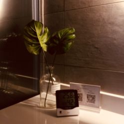 -栖白联诊 皮肤分层管理