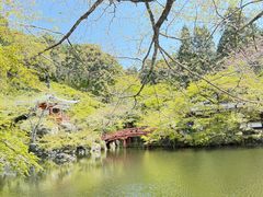 -醍醐寺