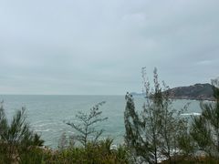 -广东惠东海龟国家级自然保护区