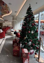 -安利上海体验馆