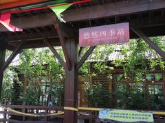 -西青郊野公园