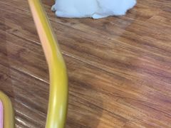 -这儿没有猫·猫咖萌宠馆·撸猫