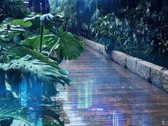 -厦门日月谷温泉渡假村