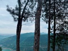 -铁山坪森林公园