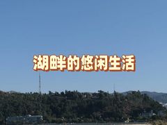 -洱海月湿地公园