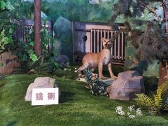 -吉林省自然博物馆