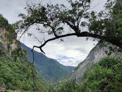-丽江虎跳峡景区-售票处