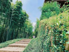 -良渚古城遗址公园