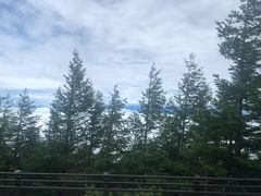 -富士山吉田線五合目