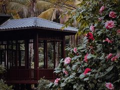 -深圳国际园林花卉博览园