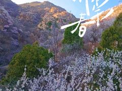 -北京凤凰岭