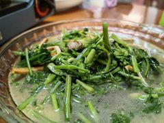 水芹菜-全乐鱼馆·淳牌有机鱼直营店