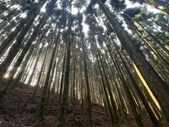 -山王坪喀斯特国家生态公园