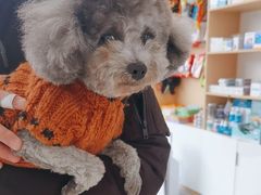 -诺比宠物医院心脏内科·泌尿肾内外科·骨科急重症