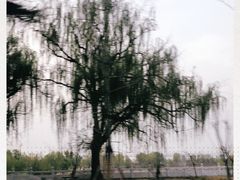 -花园口旅游区