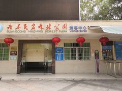 -广东茂名森林公园