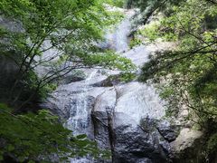-王顺山国家森林公园