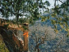 -鹫峰国家森林公园