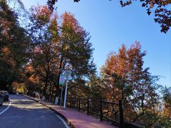 -广州市石门国家森林公园