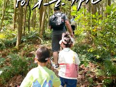 -青龙山国家森林公园