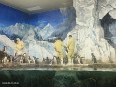 -成都浩海立方海洋公园