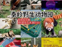 -西安秦岭野生动物园