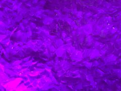 -水晶之星洗浴温泉汗蒸