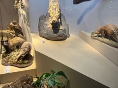 -武汉园博园(武汉自然博物馆)