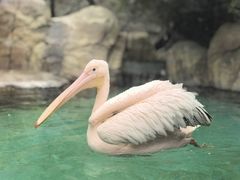 -波塞冬海底世界