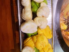 -挂雪铁锅炖大鹅