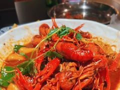 -京悦南门涮羊肉·羊蝎子火锅(田林路店)