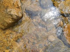 -广州白江湖森林公园