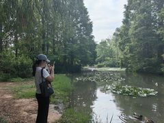 -洛阳市隋唐城遗址植物园