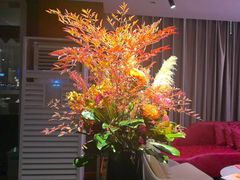 -RIVIERA 松鹤楼(外滩店)