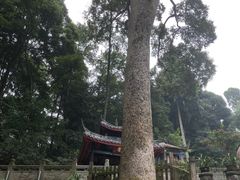 -都江堰普照寺