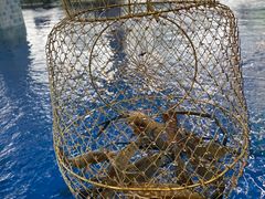 -SHRIMP CLUB万东餐饮钓虾·清吧