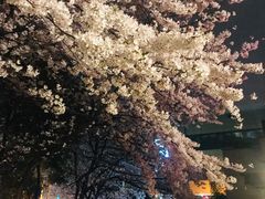 -玛格萝妮比萨屋(四平店)