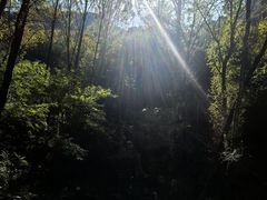 -秦岭风景区