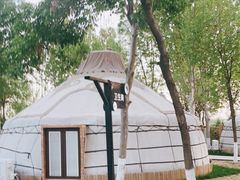 -九十九顶毡房(阜石路店)