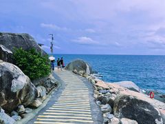 -广东惠东海龟国家级自然保护区