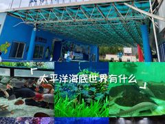 -太平洋海底世界