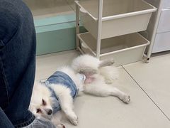 -怪兽屋·羊驼·猫咖·狗咖(俊华广场店)